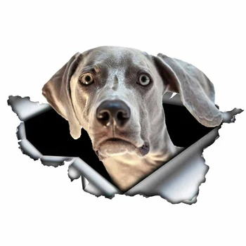 Dawasaru Weimaraner Dog Zabio Metal Car Sticker personalizirana naljepnica za laptop moto auto oprema uređenje PVC,13cm*8 cm